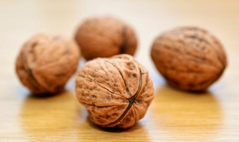 Walnuts, brain food, healthy eating