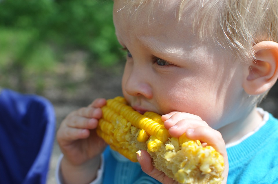 Toddler eating corn